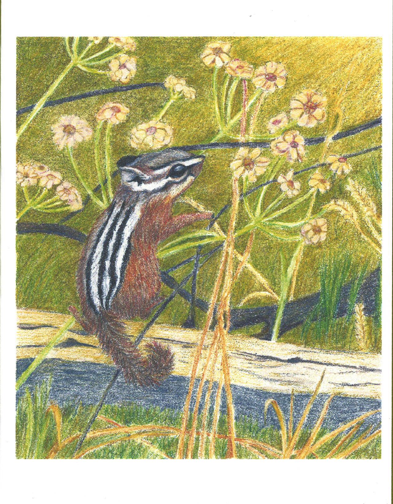 Scribbleflowers Studio portfolio preview 3