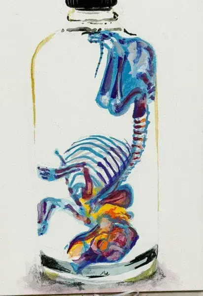 Parker Saliman portfolio preview 3