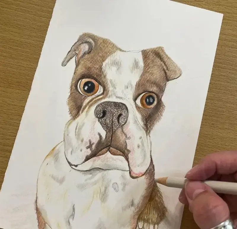 TheFrostedNest portfolio preview 3