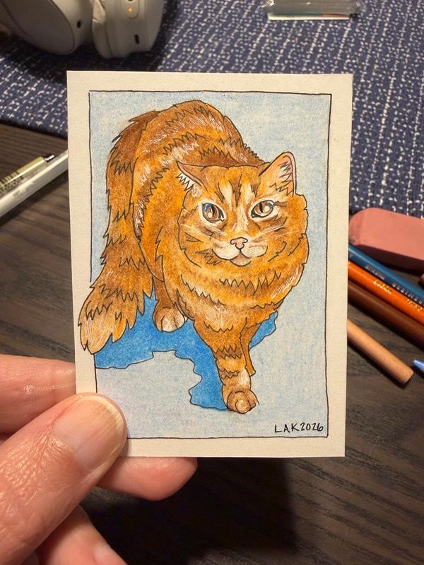 Leslie Ann Kraemer portfolio preview 1