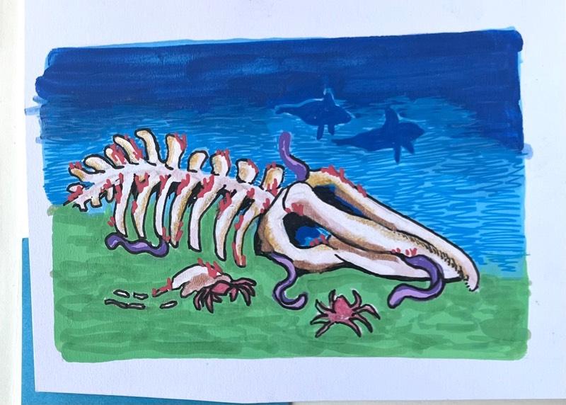 Rye-Lynn Bell portfolio preview 1